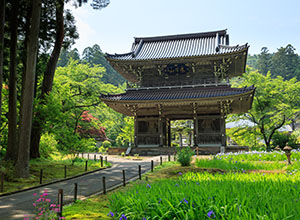 林泉寺