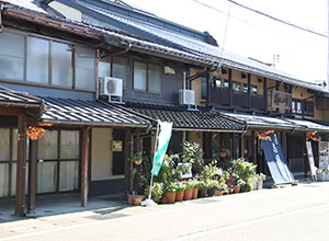 高田小町