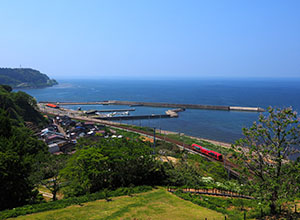 海の見える丘（たにはま公園）