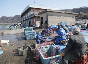 浦本漁港