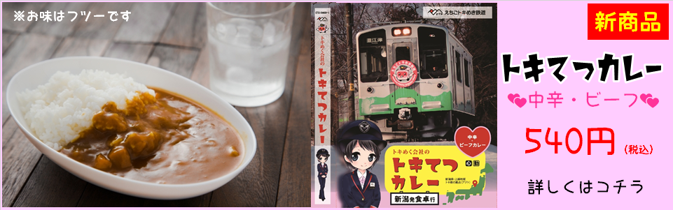 えちごトキめき鉄道株式会社 えちごトキめき鉄道株式会社